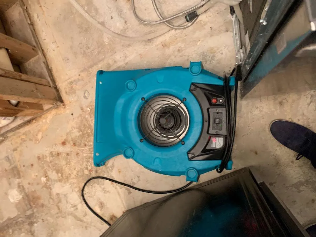 Air mover drying equipment for Mold Remediation & Removal in Brockton